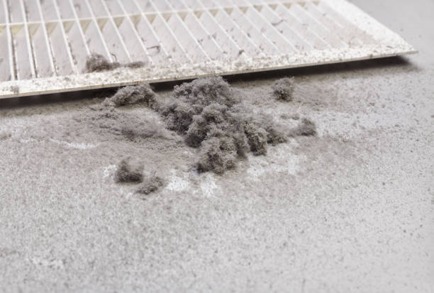Best Affordable HVAC Duct Cleaning  in West Haven, UT