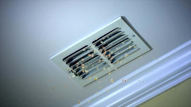 Best Emergency Air Duct Cleaning  in West Haven, UT