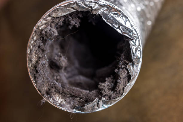 Best Affordable Air Duct Cleaning  in West Haven, UT